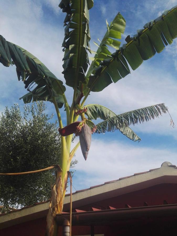 Villaggio Romaniello Marina di Camerota Buitenkant foto